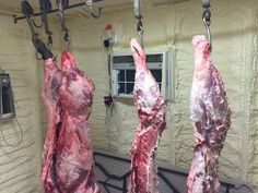 some meat hanging from hooks in front of a building