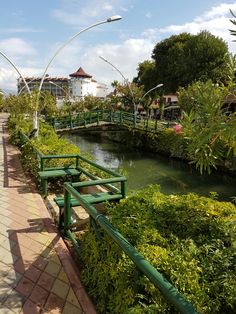 a green bridge over a small river surrounded by greenery