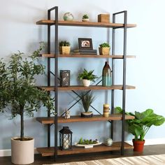 a living room filled with furniture and lots of greenery on top of shelving units