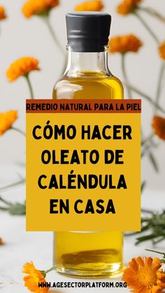 Aprende a hacer oleato de caléndula, un poderoso remedio natural que cicatriza y desinflama la piel. Ideal para tratar el acné y atenuar manchas, este aceite es un verdadero aliado para la belleza del cutis. ¡Sigue estos pasos y transforma tu piel! Doterra Oil, Cosmetica Natural, Doterra Oils, Doterra, Aura