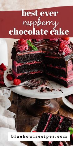 the best ever raspberry chocolate cake on a plate