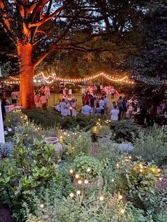 a group of people standing around a lush green field next to a tree with lights on it