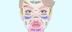 stomach
large Face Mapping Acne, Body Toxins, Healthy Probiotics, Poor Digestion, Face Mapping, What Is Science, Acne Causes, Skin Dryness, Face Acne