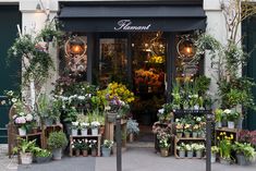 a flower shop with potted plants in front of it