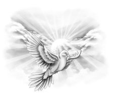 a black and white drawing of a dove