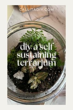 a glass bowl filled with dirt and plants on top of a marble table next to a plant