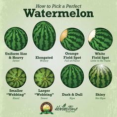 how to pick a perfect watermelon for every type of fruit you've ever picked