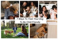 a collage of photos with people, dogs and their families in the background text says 7 ways to train your dog to be child friendly