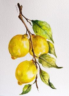 a painting of lemons on a branch with leaves