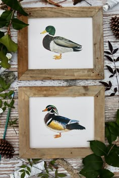 two framed pictures of ducks sitting on top of a wooden table next to pine cones