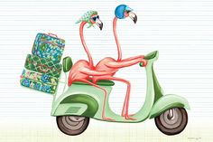 a painting of a flamingo on a scooter with luggage in the back