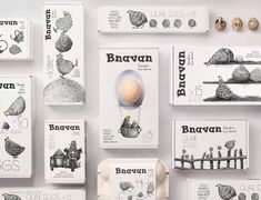 an assortment of different types of eggs on display in front of a white wall with black and white illustrations