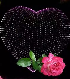 a pink rose sitting in front of a heart shaped object with dots on the surface