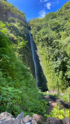 a large waterfall in the middle of a lush green forest