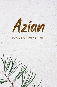 a pine tree branch with the word azian written in brown on it's side