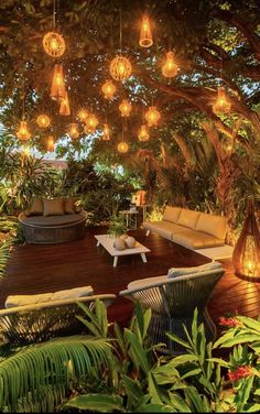 an outdoor living area with lots of plants and lights hanging from the trees over it