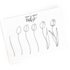 an open notebook with flowers drawn on it and the words how to draw tulips