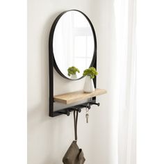 a mirror hanging on the wall next to a shelf with a potted plant in it