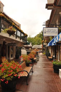 the sidewalk is lined with potted plants and benches