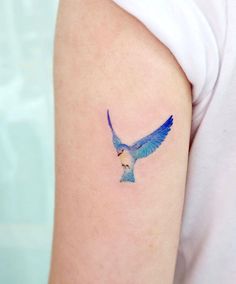 a small blue bird tattoo on the arm