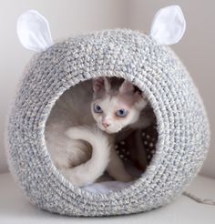 a white cat sitting inside of a knitted kitty bed with ears on it's head