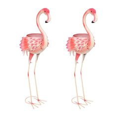 two pink flamingos standing next to each other on top of a white background with the letter m