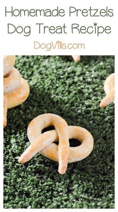 homemade pretzels dog treat recipe on green grass