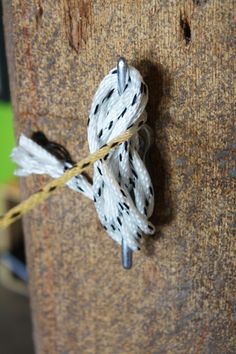 the rope is tied to the wooden post with two small white and black beads on it