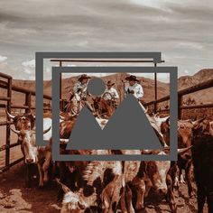 two men on horses are herding cattle in an open pen with mountains in the background