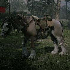 a horse that is standing in the grass with a saddle on it's back