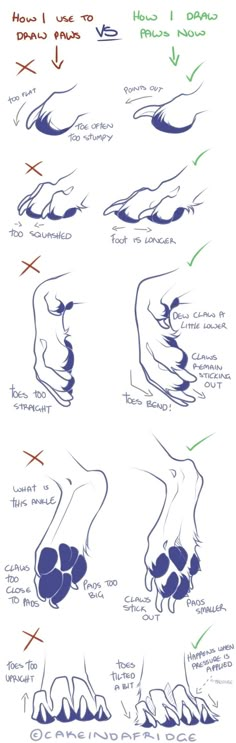 an image of how to draw hands and feet