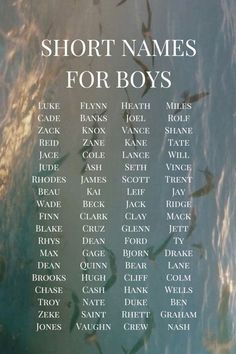 the names of short names for boys are shown in front of an image of seagulls