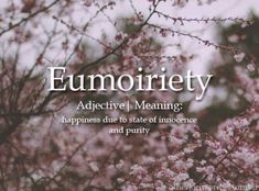 the words eumonriety are written in white on a pink flowered tree branch