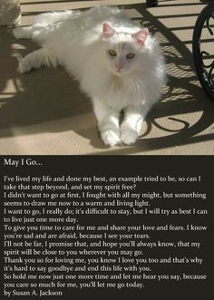 a white cat sitting on top of a bench next to a quote from the book may i go