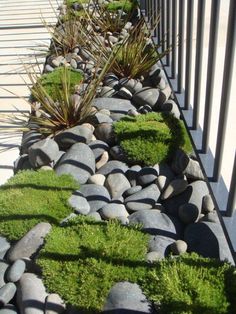 some rocks and grass are in the middle of a long row on the side of a building