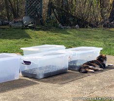 a cat laying on the ground next to plastic containers