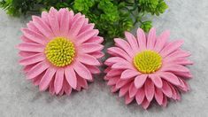 two pink flowers sitting next to each other on top of a white surface with green plants in the background