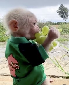 an old man in a green shirt holding a stuffed animal