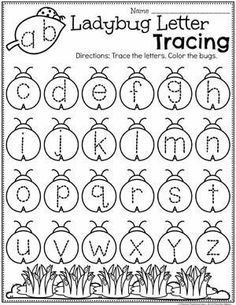 the ladybug letter tracing worksheet is shown in black and white