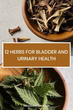 herbs for bladder and urinary health in wooden bowls with cinnamon sticks on the side