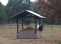 a horse is eating hay out of a trough