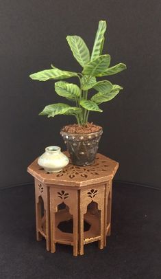 a potted plant sitting on top of a wooden table