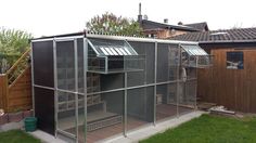 a large chicken coop in the back yard