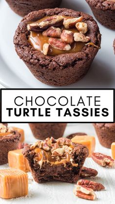 A fan-favorite cookie featuring chocolate, pecans, and caramel, these Turtle Tassies are the perfect bite-size treat for your next holiday party or family gathering! If you don’t know what a “tassie” is, you’re not alone! Tassies are like a sugar cookie cup, made in mini muffin cups instead of baked on a cookie sheet, then topped or filled with a variety of delectable goodies. These Turtle Tassies are so easy to make and fun to eat! Turtle Tassies, Tassies Recipe, Chocolate Cookie Cups, Turtle Candy, Chocolate Pecans, Pie Cups, Cups Recipes, Chocolate Turtle, Sugar Cookie Cups