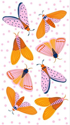 six orange and pink butterflies with polka dots on the background, all in different colors