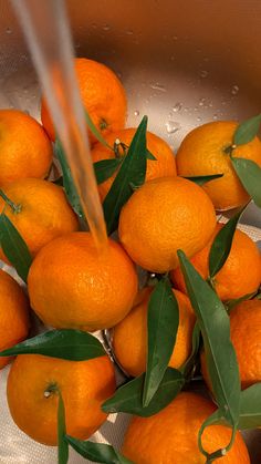 a bunch of oranges are in a metal bowl with leaves on the top and bottom