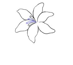 a drawing of a flower on a white background with blue lines in the bottom corner