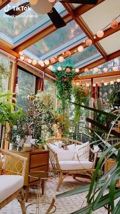 a living room filled with lots of plants and furniture