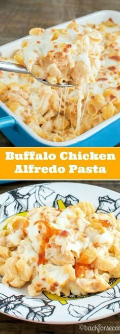 buffalo chicken alfredo pasta in a blue casserole dish on a white and black plate