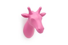 a pink giraffe head on a white background